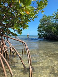 Fly angler wading and casting on a clear flat at Barkers Beach in Grand Cayman, Cayman Islands