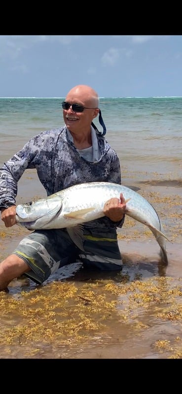 Angler wading in the shallows holding a tarpon caught fly fishing from shore in Grand Cayman, Cayman Islands