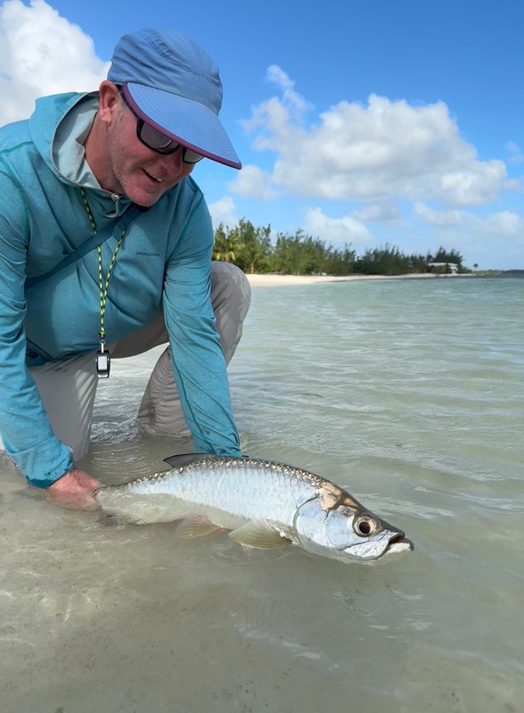 Fly angler releasing a juvenile tarpon on a sandy flat in Grand Cayman, Cayman Islands