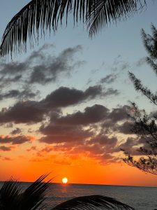 Brilliant tropical sunset over the ocean framed by palm trees in Grand Cayman, Cayman Islands