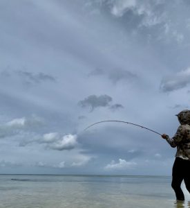 Fly angler hooked into a fish while wading a flat near Rum Point in Grand Cayman, Cayman Islands