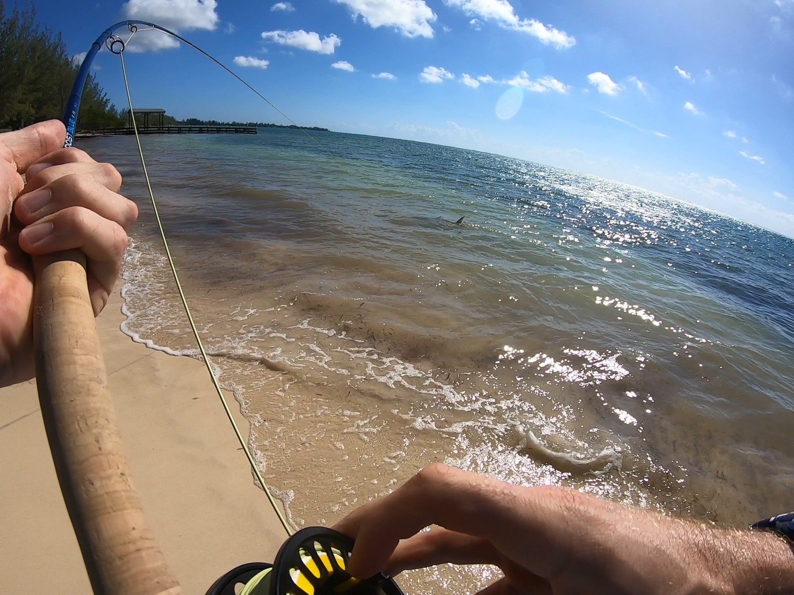 DIY fly fisherman in Grand Cayman holding bonefish, mutton snapper, and tarpon caught on the flats